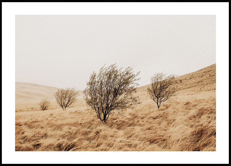 Autumn Grassy Field and Trees Poster