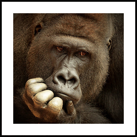 SENSE OF LIFE ... Poster