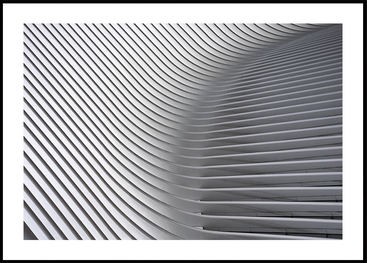 Calatrava Curves # 2 Poster
