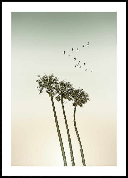 Vintage minimalist palm trees &amp; sunset Poster