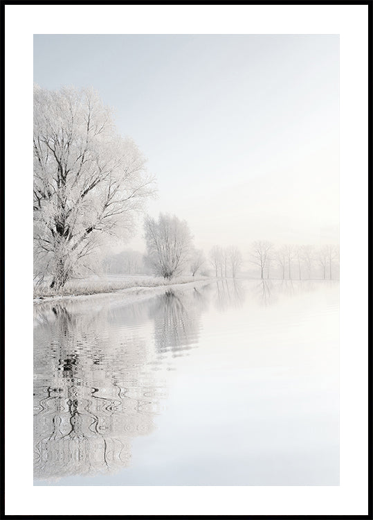 Frosty Winter Tree №1 Poster