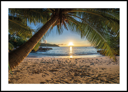 Tropical Beach Serenity Poster