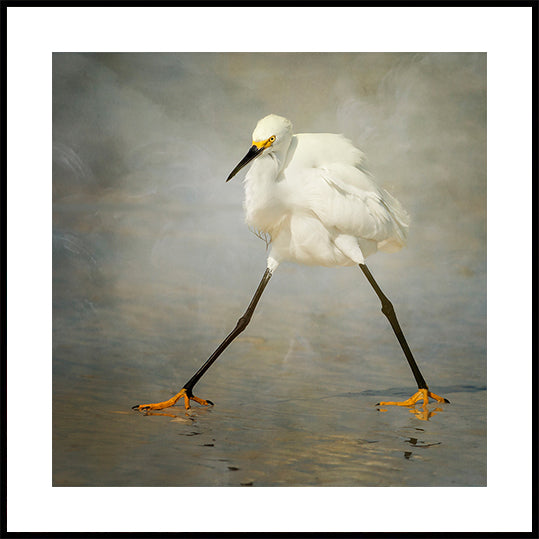 The Rock Star Poster