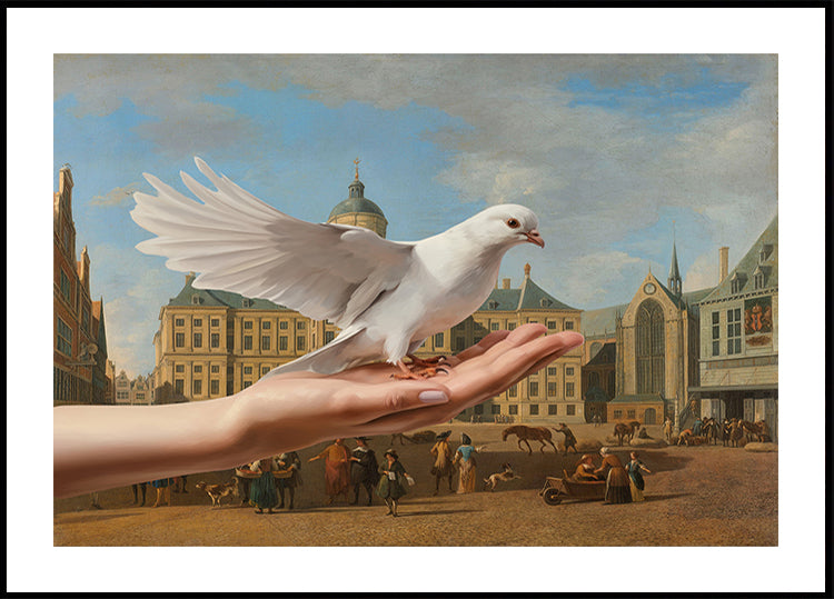 A Dove In Amsterdam Poster
