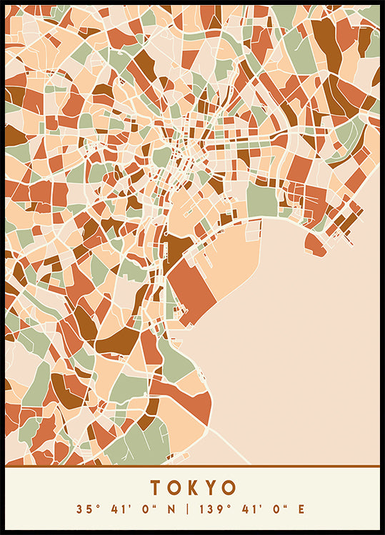 Black Maps Earth Tones 88 Poster