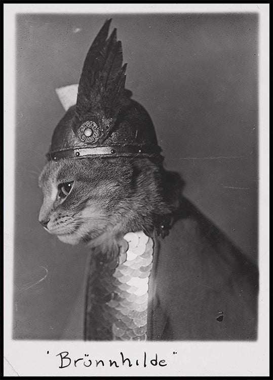 Brunnhilde Cat Profile Poster