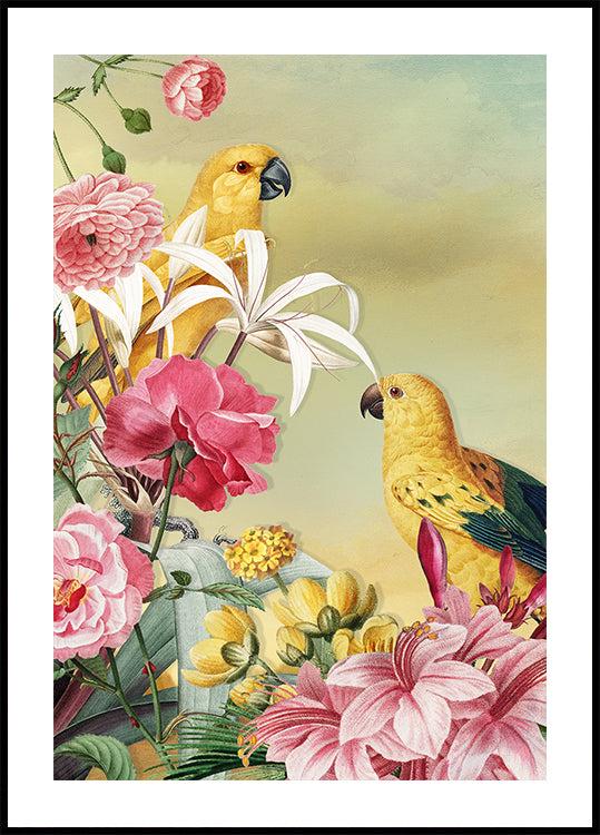 Birds From Paradise Poster