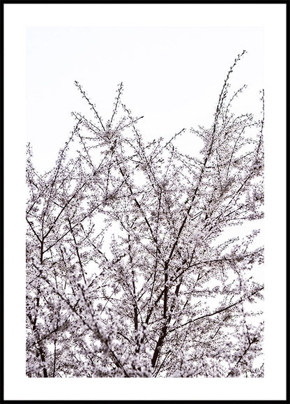 Minimalist Botanical Blossom Poster