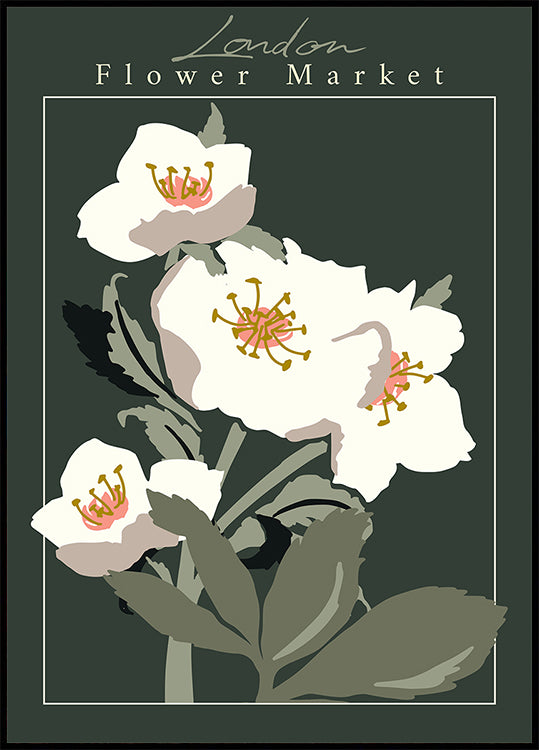 Flower Market London Hellebore Poster