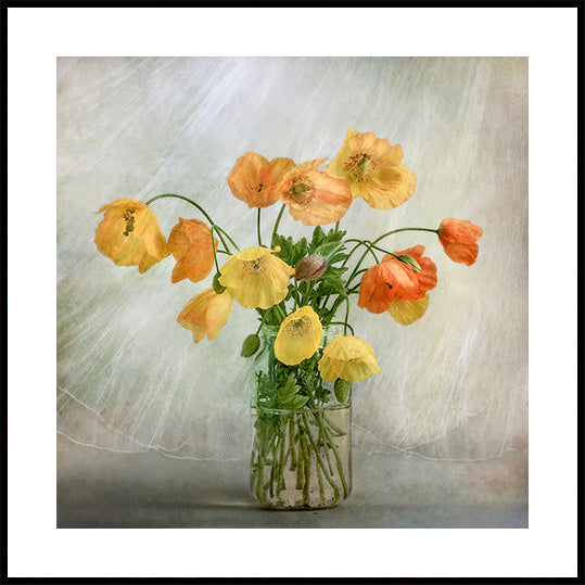 In the window Poster