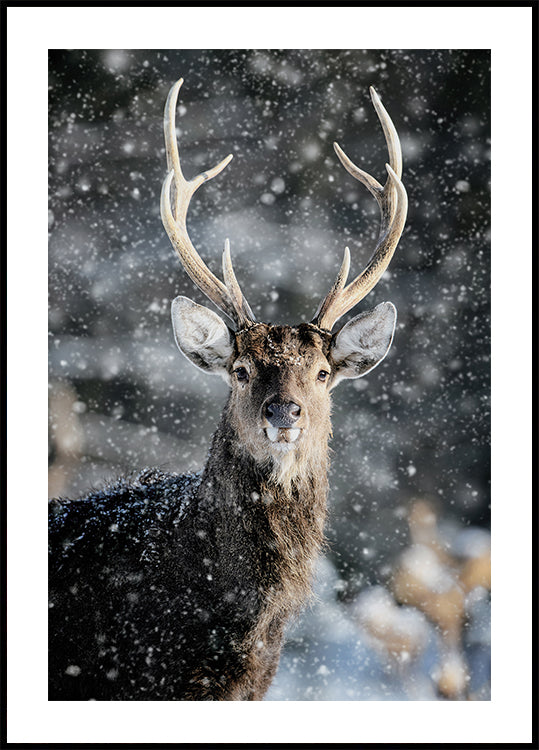 Majestic Deer in Snow №2 Poster
