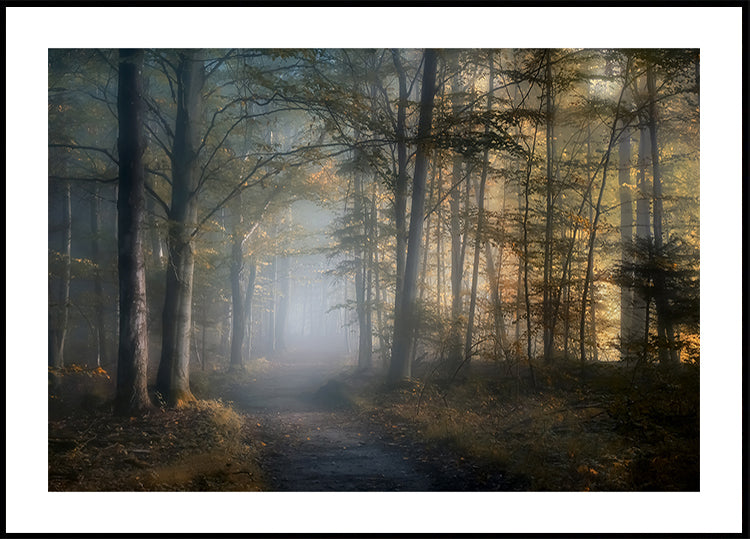 autumn symphony Poster