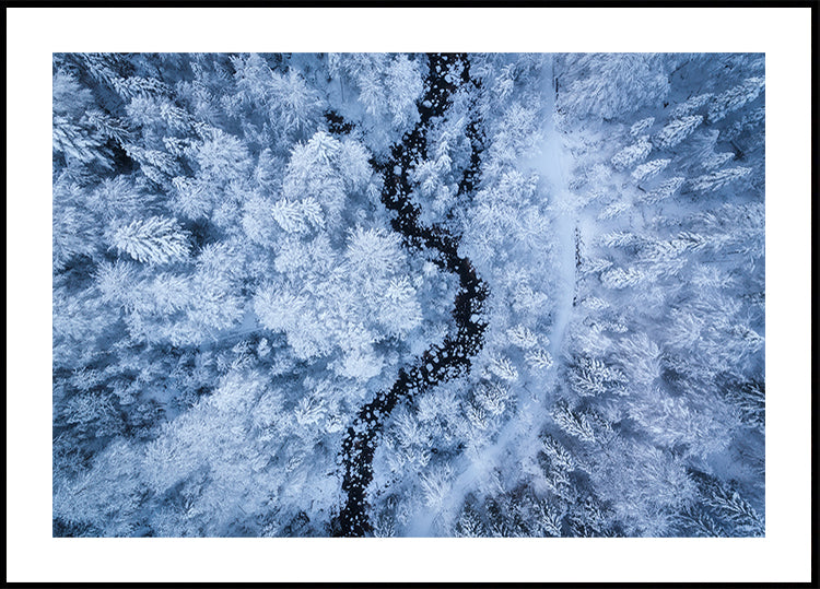 A Freezing Cold Beauty Poster