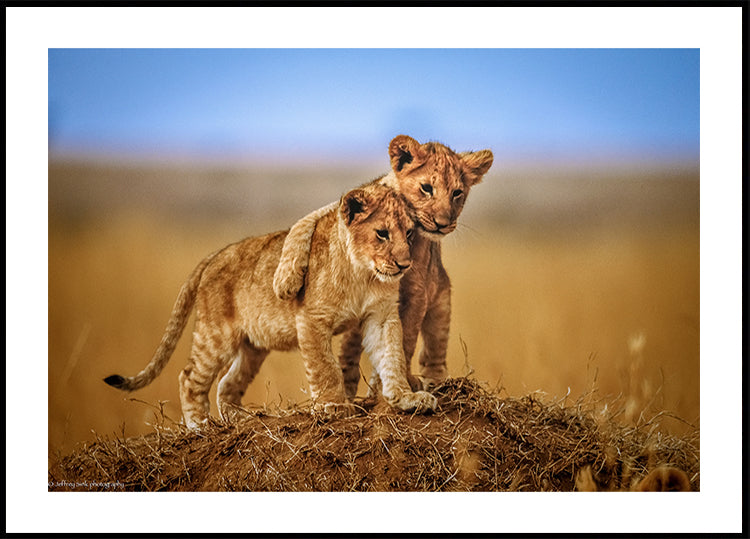 Brothers for Life Poster