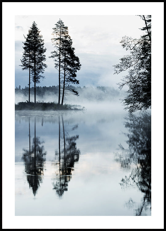 Misty Forest Morning Poster