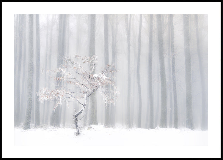 In front of the misty curtain Poster