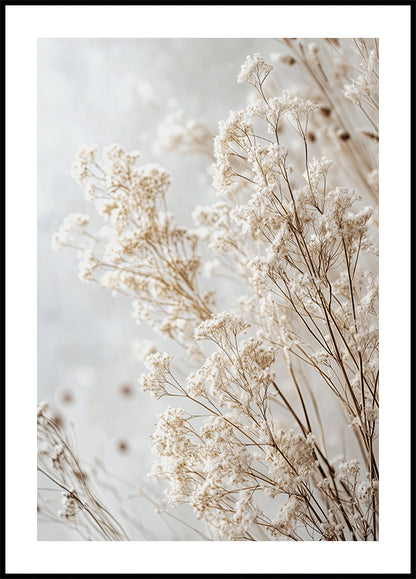 Soft Whispers of Dried Wildflowers in Light Tones Poster