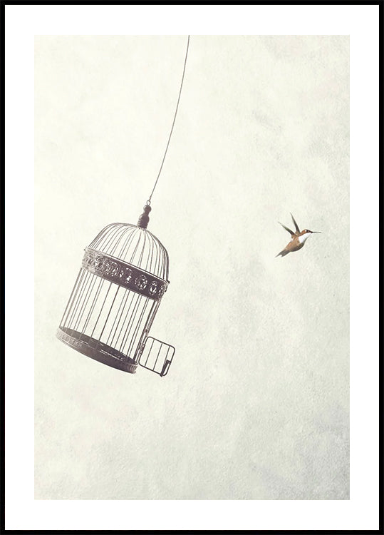 Flying Towards Freedom Poster