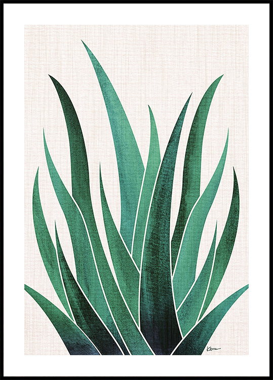 Desert Agave Cactus