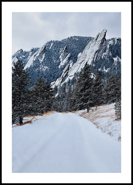 Frozen Flatiron Poster