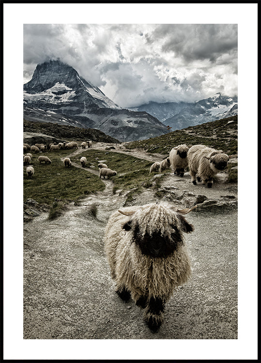 Out of my way Poster