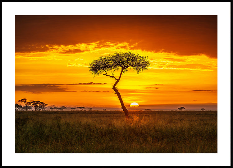 Primordial Africa Poster