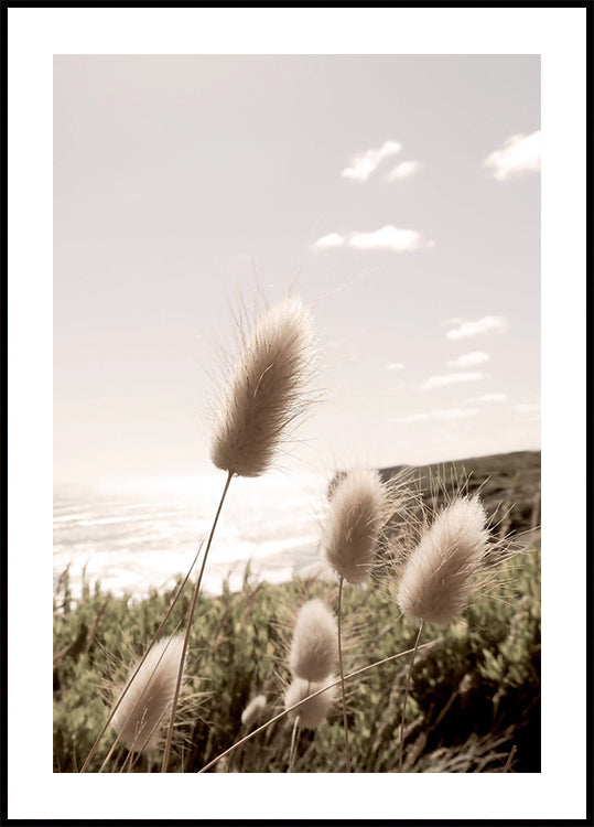 Soft Grass on Mountain Poster