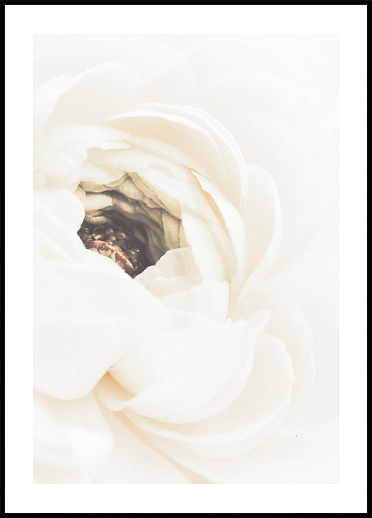White Flower No.2 Poster