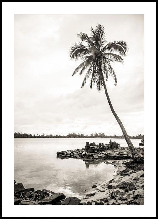 Tropical Palm on Beach Poster