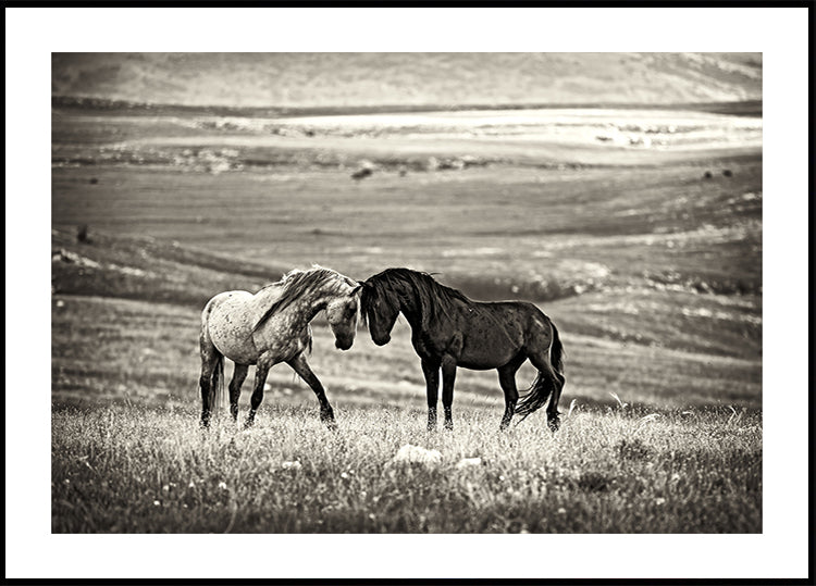 close encounter PostER