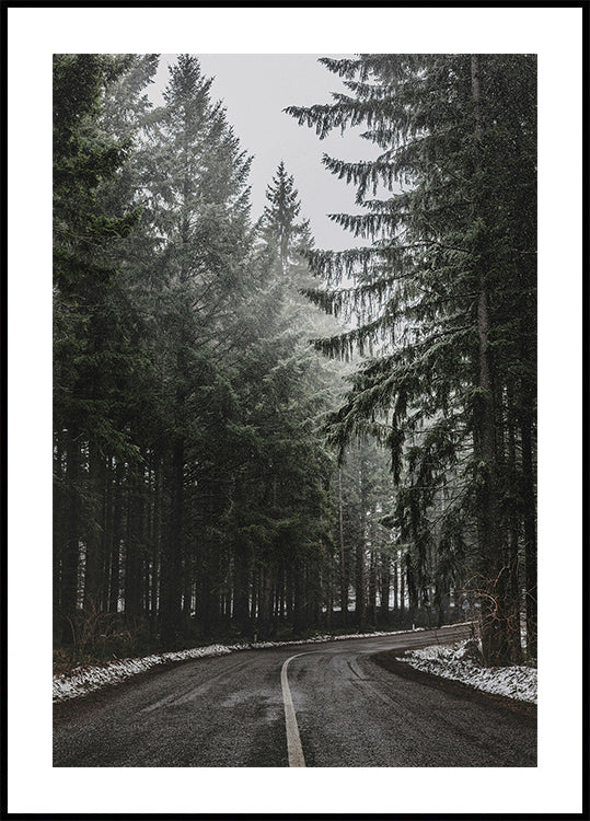 Forest Road in Winter Poster