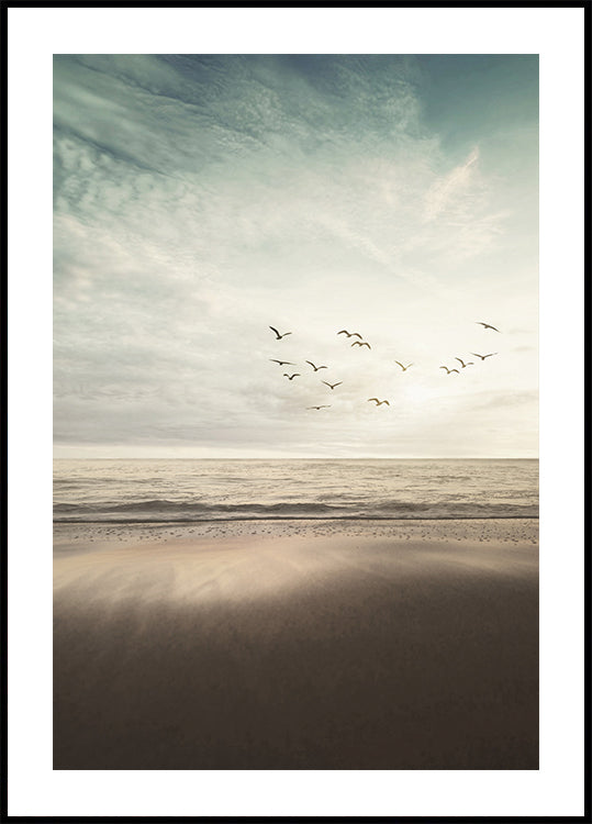 Birds Fly On The Coast Poster