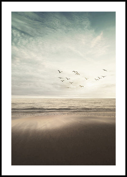 Birds Fly On The Coast Poster