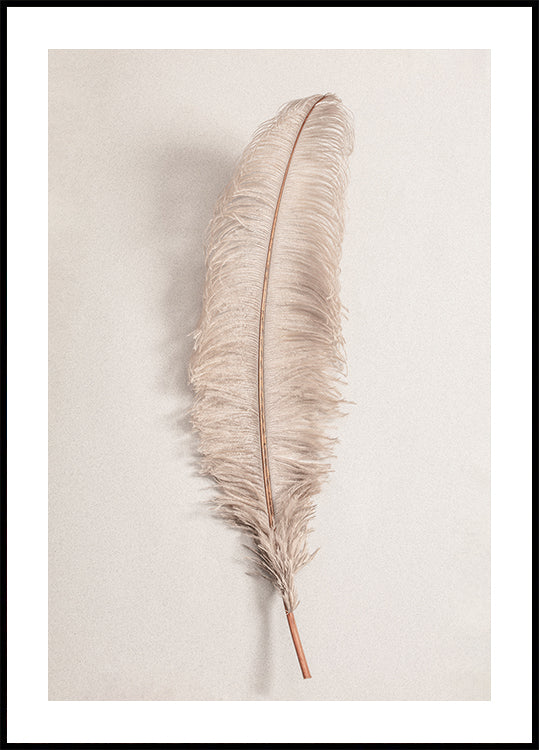 Feather No. Poster