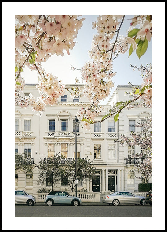 Nottinghillbloom Ratioiso Poster