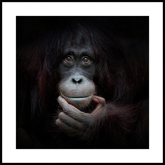 THE MIRROR IMAGE Poster