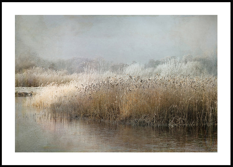 Wintermorning Poster
