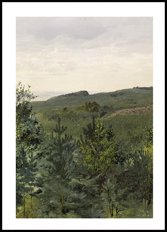 Sandy Soil Forest Exploration Poster