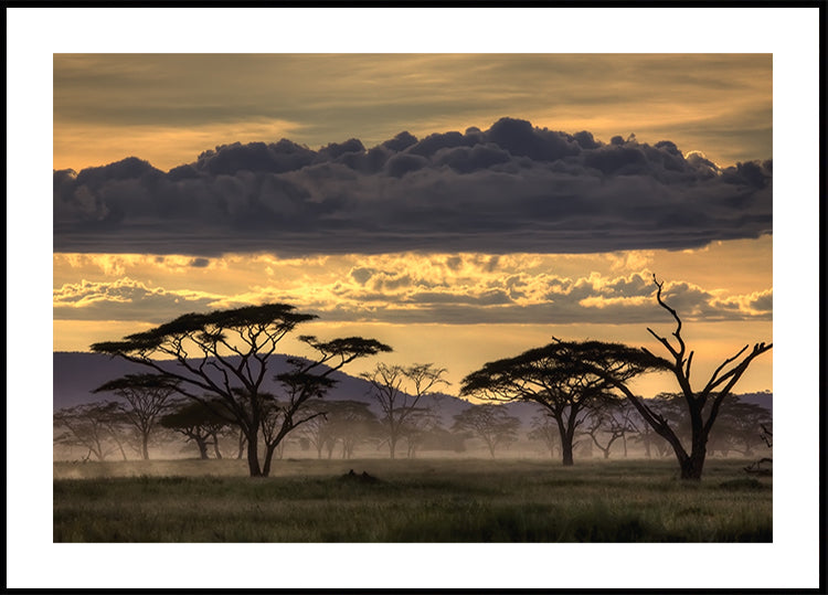 Good evening tanazania