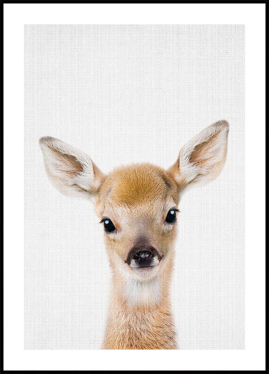 Peekaboo Baby Deer Poster