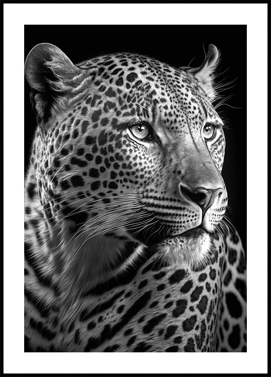 Black and White Leopard Poster