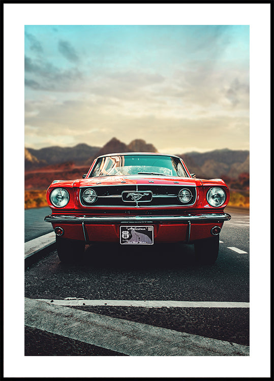 Vintage Car Love