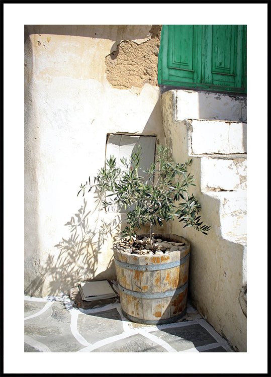 Mediterranean Olive Tree Entrance Poster