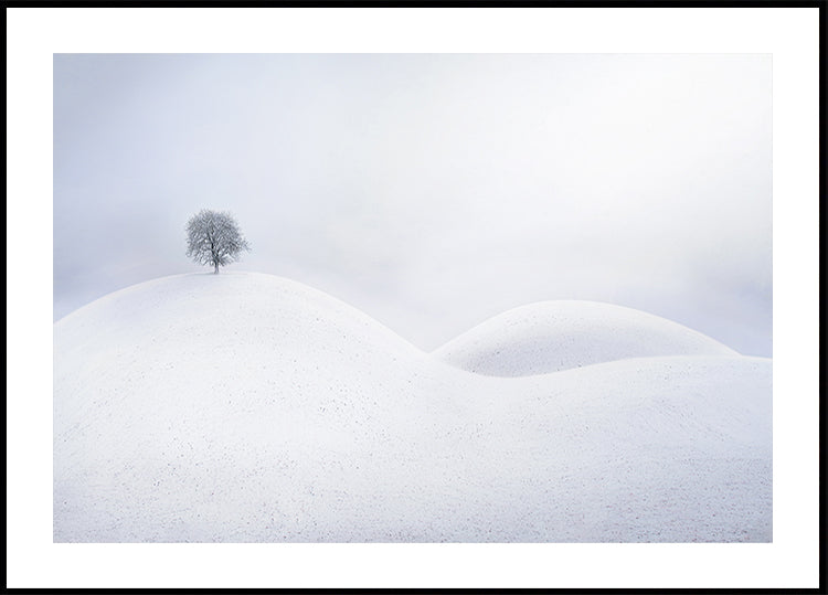 Bare Tree on Snowy Hill Poster