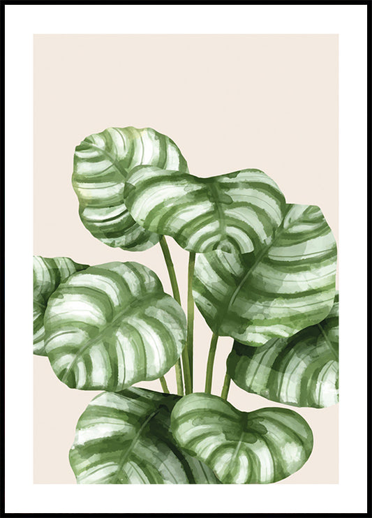 Striped Green Leaves Botanical Poster