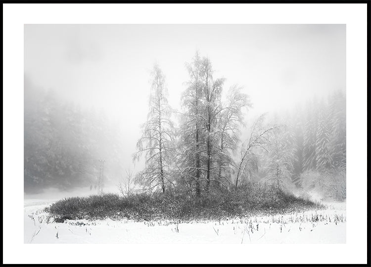 Winter in the mountain Poster