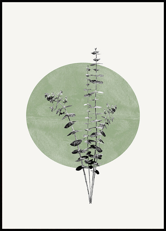 Nature&#039;s Echo  Poster