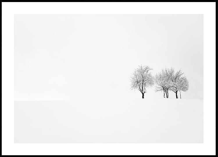 tree and silence Poster