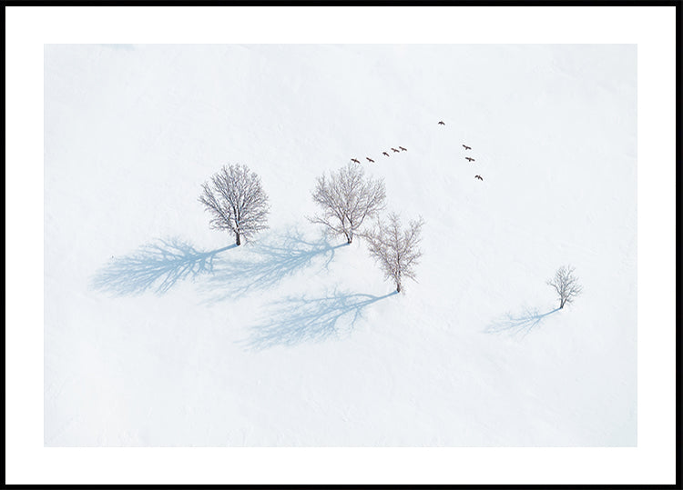 Trees and Birds Poster