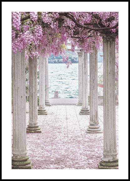 Pillars and Wisteria Flowers Poster